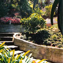 Garden and Landscape Design